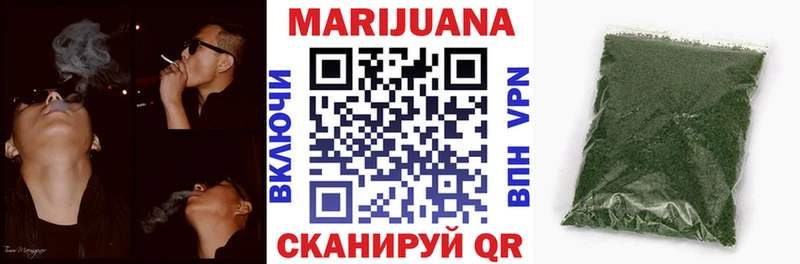 купить наркотики цена  Спасск  Шишки марихуана OG Kush 